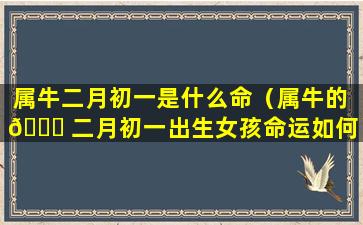 属牛二月初一是什么命（属牛的 🍀 二月初一出生女孩命运如何）